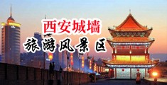 裸女肏逼中国陕西-西安城墙旅游风景区
