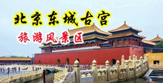 操白领骚穴中国北京-东城古宫旅游风景区